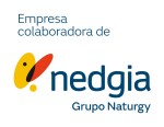 Empresa colaboradora de Nedgia