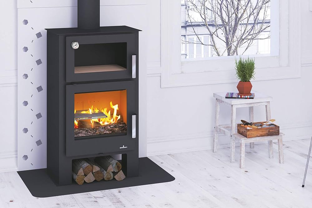 Estufas y calderas de biomasa: Una alternativa sostenible y&nbsp;eficiente